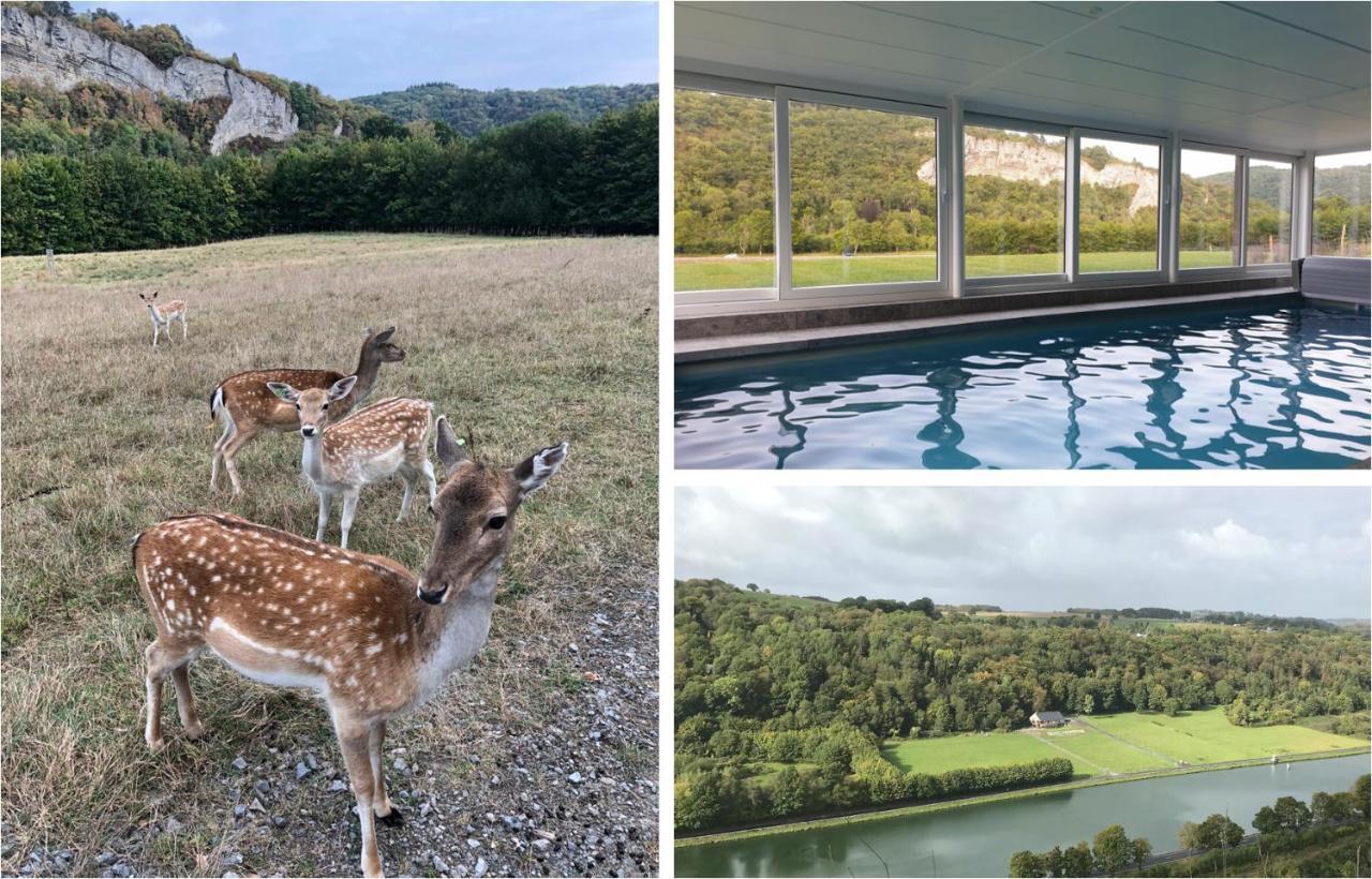Le Val Des Cerfs - Het Hertendal Hastiere-par-dela Dış mekan fotoğraf